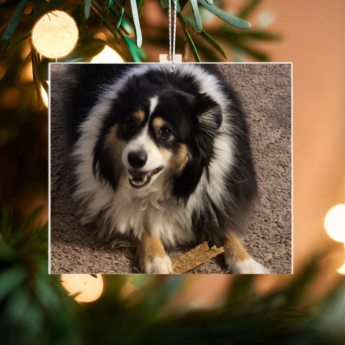 Custom Cut Acrylic Ornament