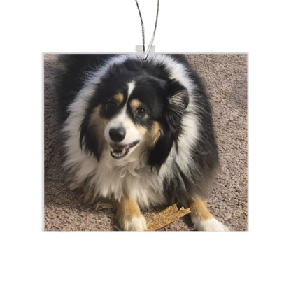 Custom Cut Acrylic Ornament