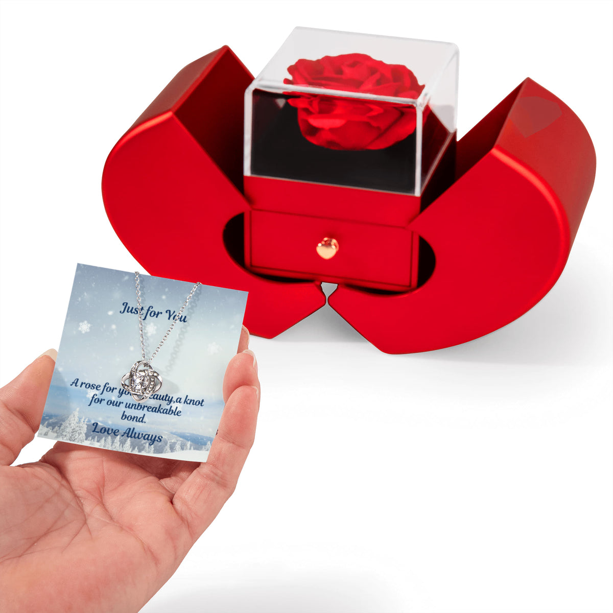 Rose and Love Knot Necklace Gift Set