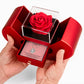 Our Love Knot Necklace and Rose Box Gift Set